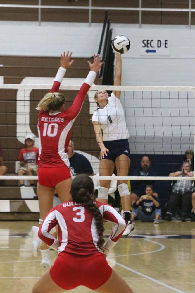 Gallery: Girls volleyball - Crown Point at Michigan City